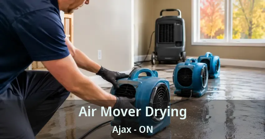 Air Mover Drying Ajax - ON