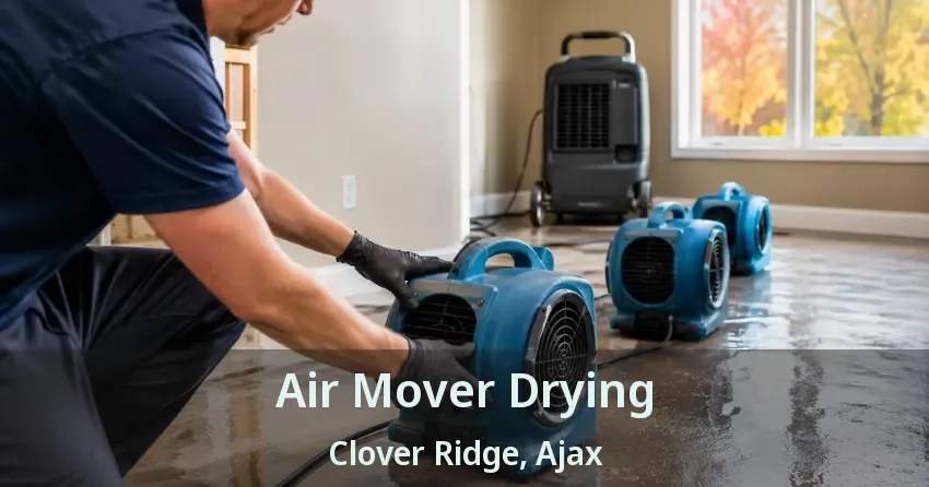 Air Mover Drying Clover Ridge, Ajax - ON