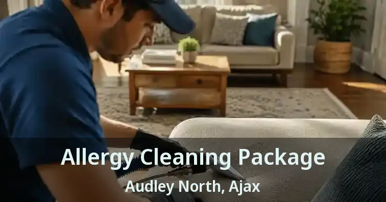 Allergy Cleaning Package Audley North, Ajax - ON