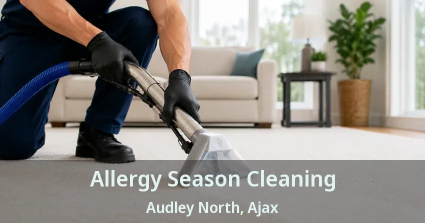 Allergy Season Cleaning Audley North, Ajax - ON