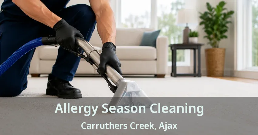 Allergy Season Cleaning Carruthers Creek, Ajax - ON