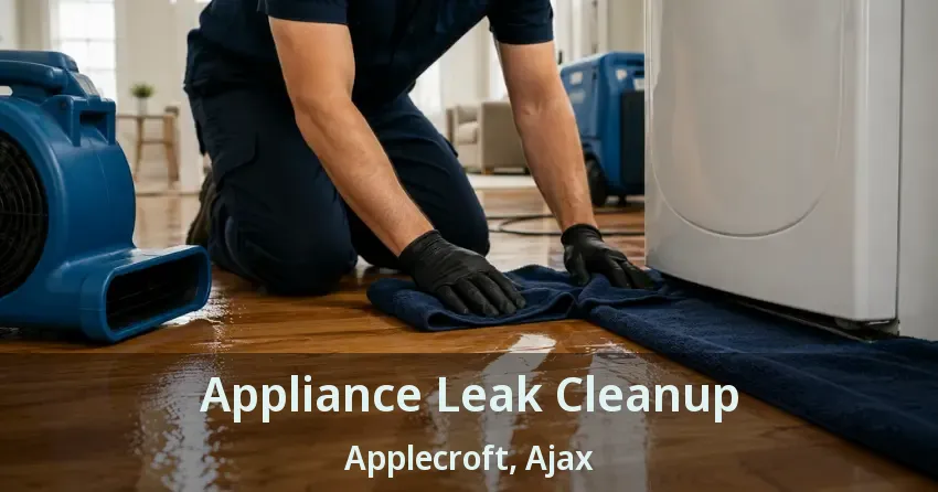 Appliance Leak Cleanup Applecroft, Ajax - ON