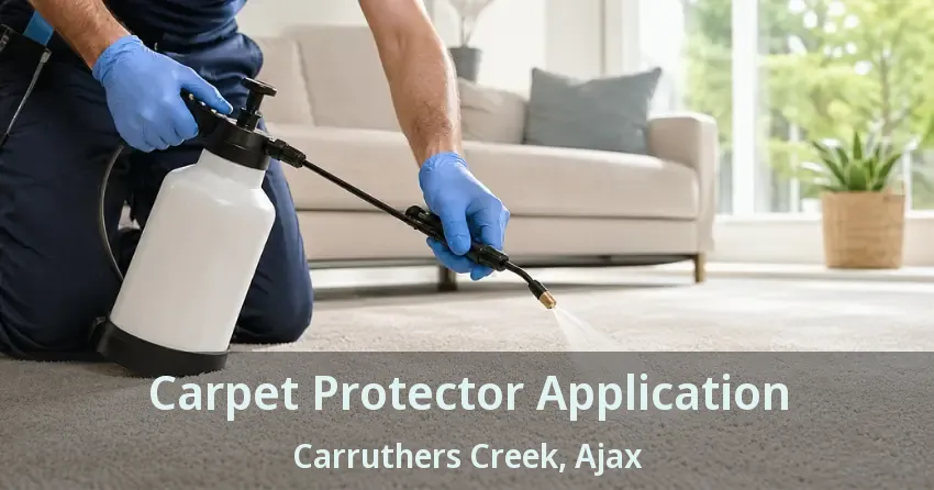 Carpet Protector Application Carruthers Creek, Ajax - ON