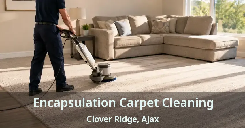 Encapsulation Carpet Cleaning Clover Ridge, Ajax - ON
