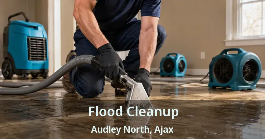 Flood Cleanup Audley North, Ajax - ON