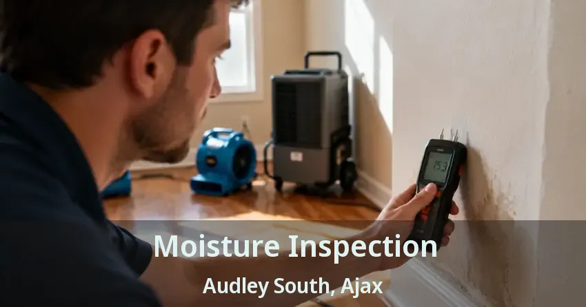 Moisture Inspection Audley South, Ajax - ON