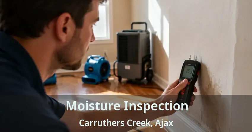 Moisture Inspection Carruthers Creek, Ajax - ON