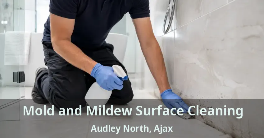 Mold and Mildew Surface Cleaning Audley North, Ajax - ON