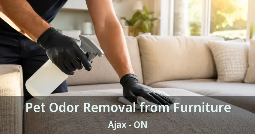 Pet Odor Removal from Furniture Ajax - ON