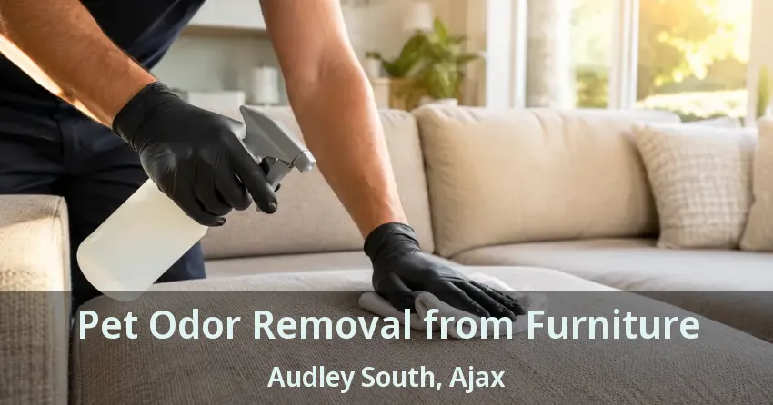 Pet Odor Removal from Furniture Audley South, Ajax - ON