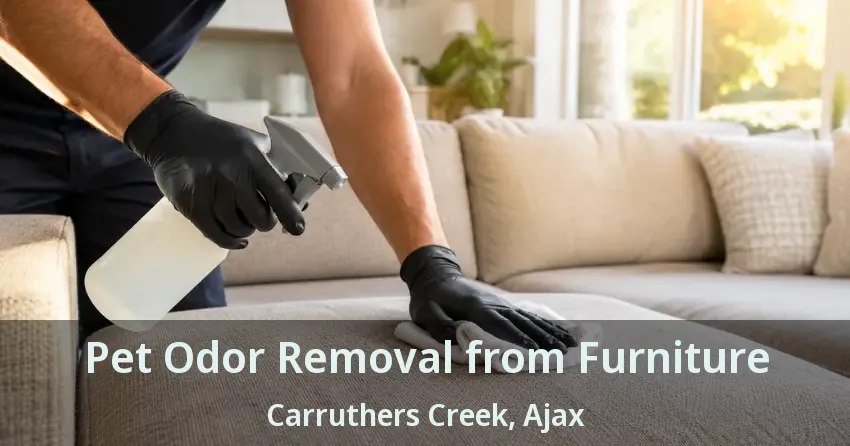 Pet Odor Removal from Furniture Carruthers Creek, Ajax - ON