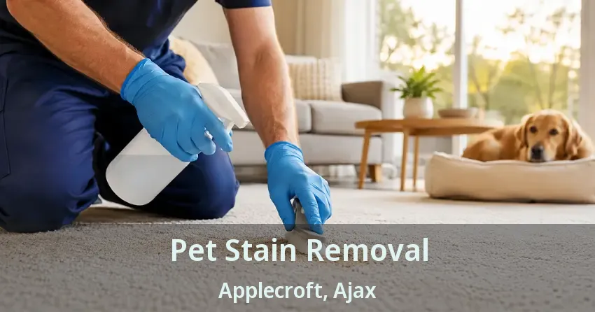 Pet Stain Removal Applecroft, Ajax - ON