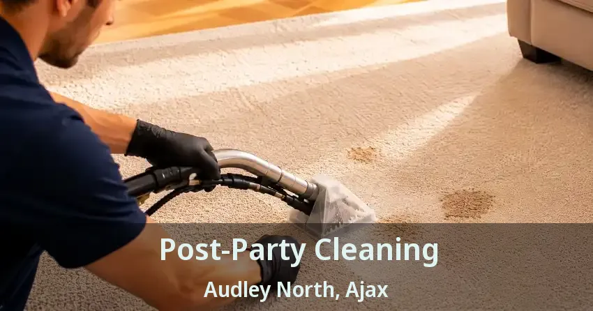 Post-Party Cleaning Audley North, Ajax - ON
