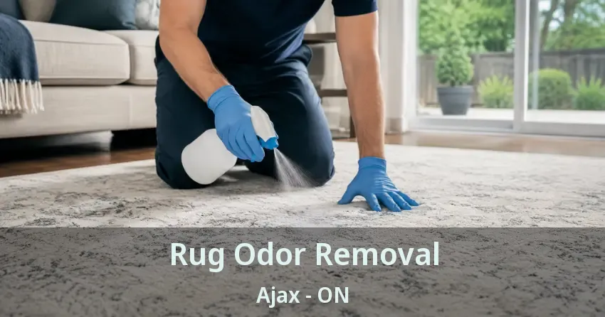 Rug Odor Removal Ajax - ON