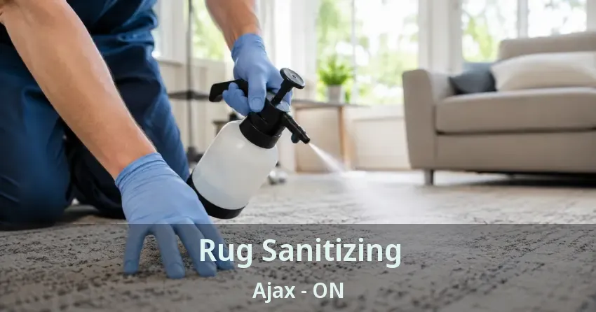 Rug Sanitizing Ajax - ON