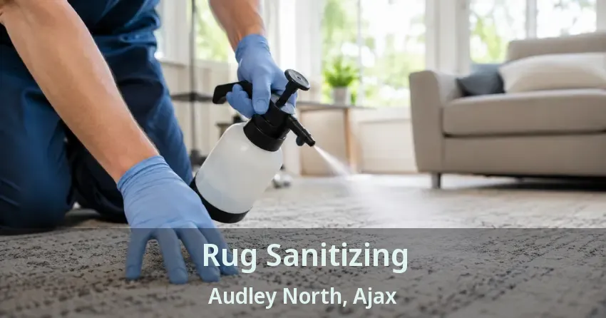 Rug Sanitizing Audley North, Ajax - ON