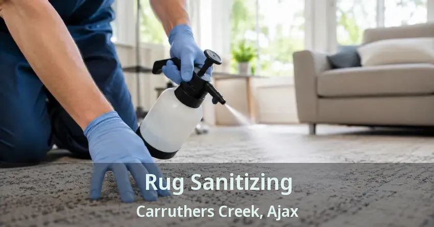 Rug Sanitizing Carruthers Creek, Ajax - ON