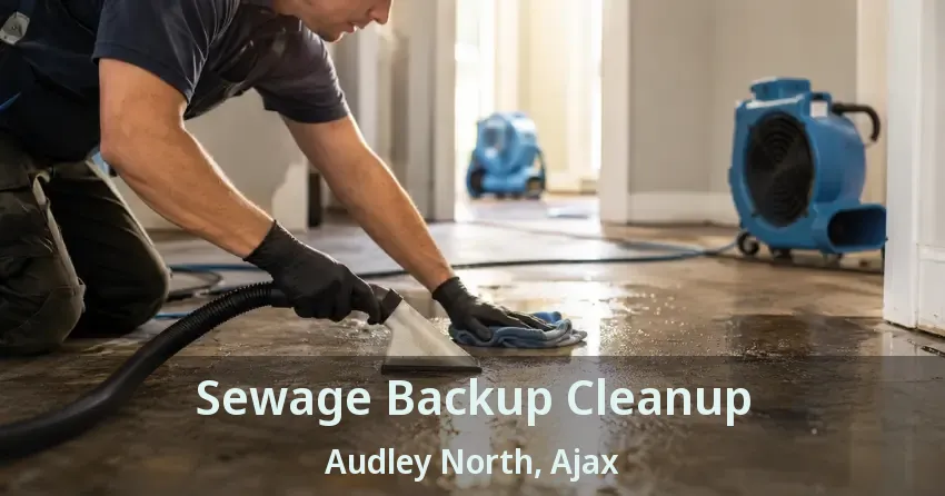Sewage Backup Cleanup Audley North, Ajax - ON