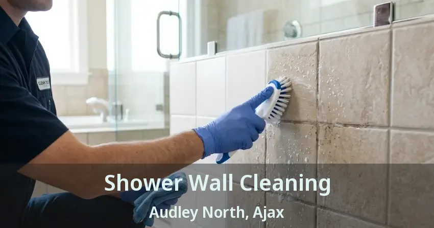 Shower Wall Cleaning Audley North, Ajax - ON