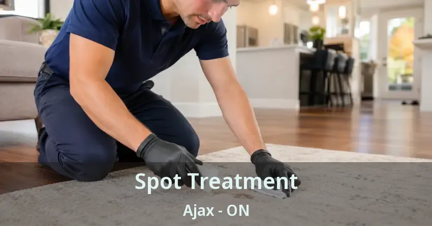 Spot Treatment Ajax - ON