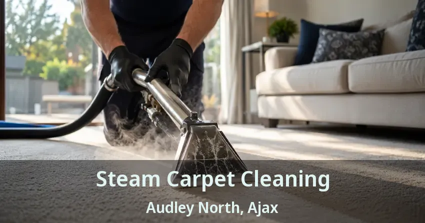 Steam Carpet Cleaning Audley North, Ajax - ON