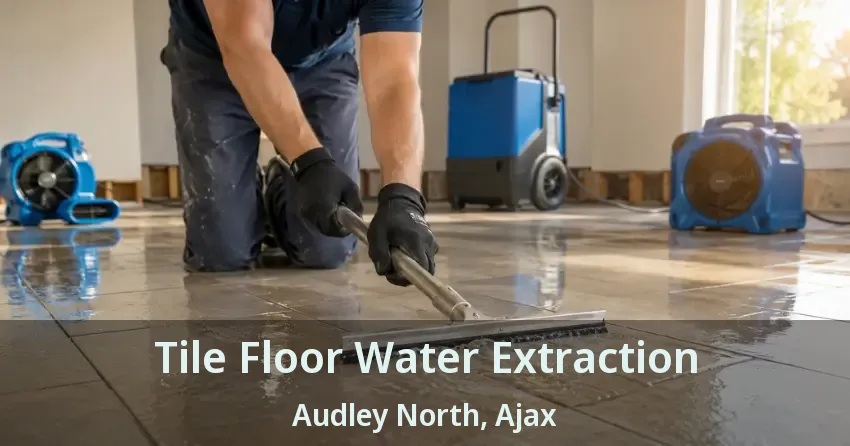Tile Floor Water Extraction Audley North, Ajax - ON