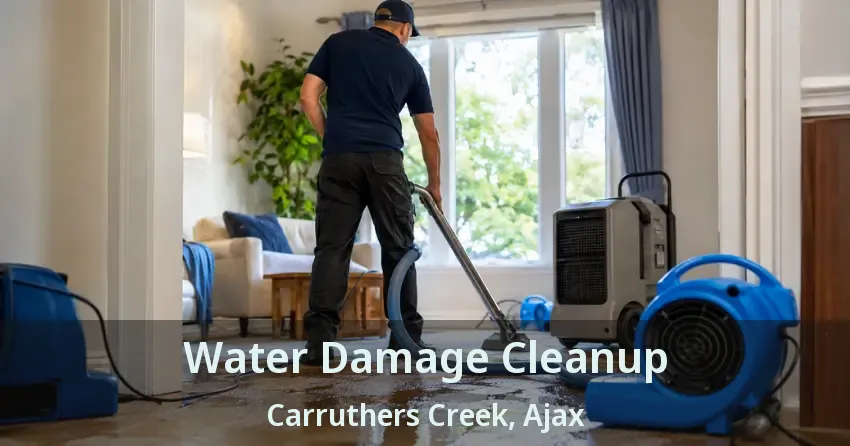 Water Damage Cleanup Carruthers Creek, Ajax - ON