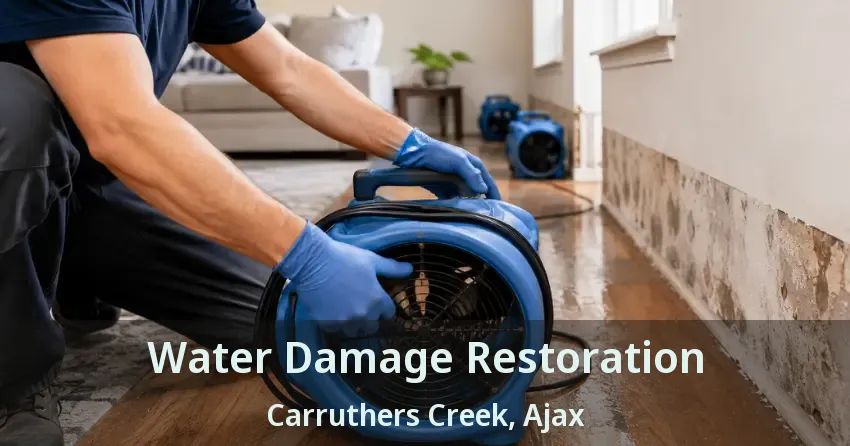Water Damage Restoration Carruthers Creek, Ajax - ON