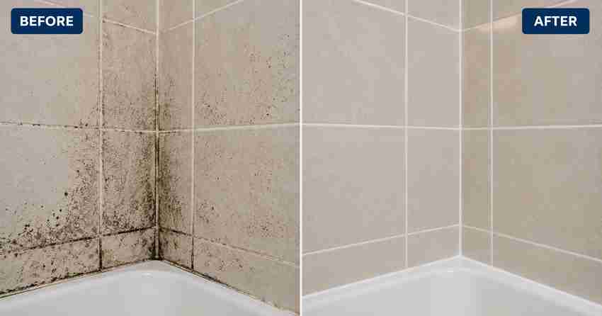 before and after mold prevention treatment on bathroom wall Applecroft, Ajax